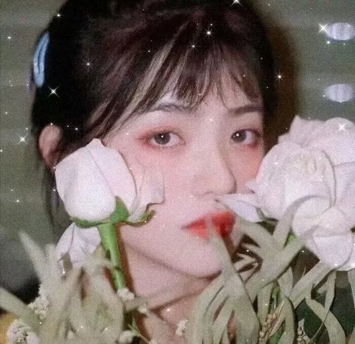 铁线蕨的忧郁