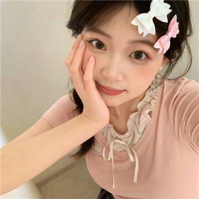 公民哈维尔